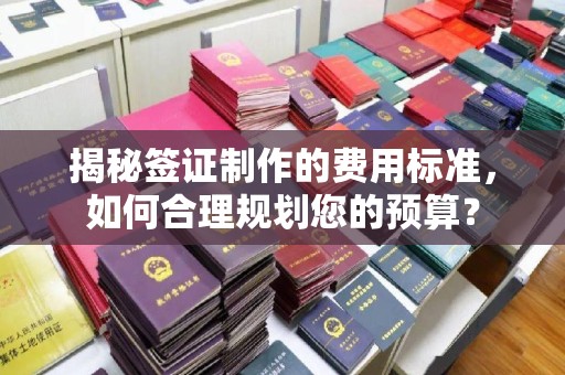 太和揭秘签证制作的费用标准，如何合理规划您的预算？