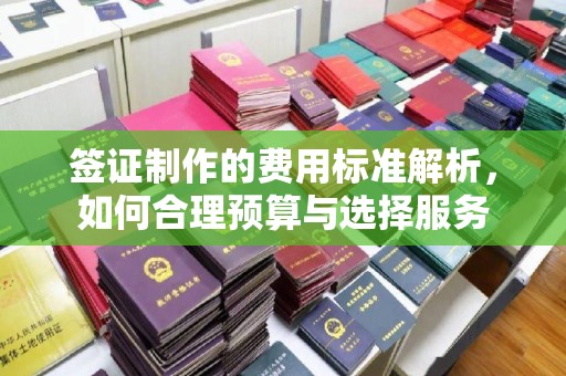 太和签证制作的费用标准解析，如何合理预算与选择服务