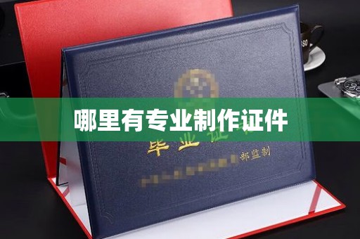 太和哪里有专业制作证件