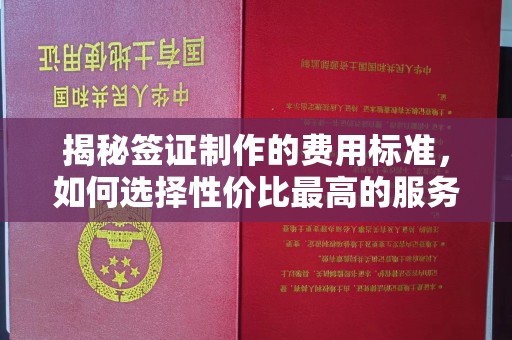 太和揭秘签证制作的费用标准，如何选择性价比最高的服务？
