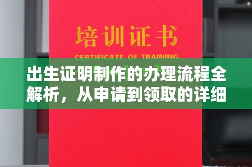 太和出生证明制作的办理流程全解析，从申请到领取的详细指南