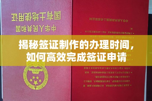太和揭秘签证制作的办理时间，如何高效完成签证申请